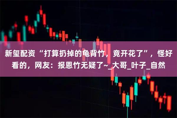 新玺配资 “打算扔掉的龟背竹，竟开花了”，怪好看的，网友：报恩竹无疑了~_大哥_叶子_自然