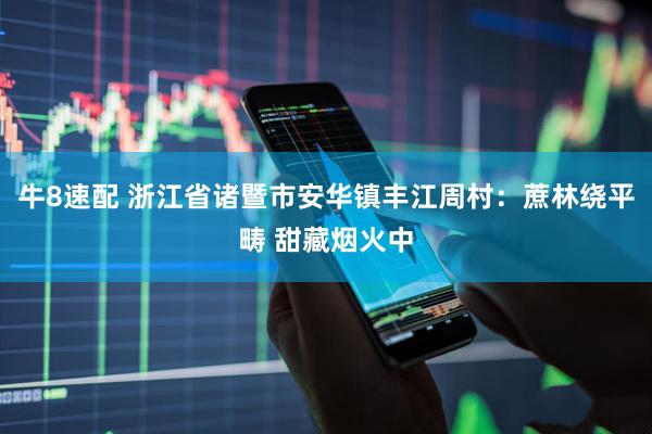 牛8速配 浙江省诸暨市安华镇丰江周村：蔗林绕平畴 甜藏烟火中